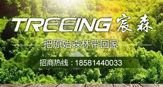 TREEING宸森