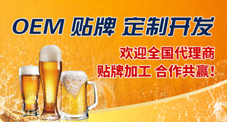 山东潮力精酿啤酒